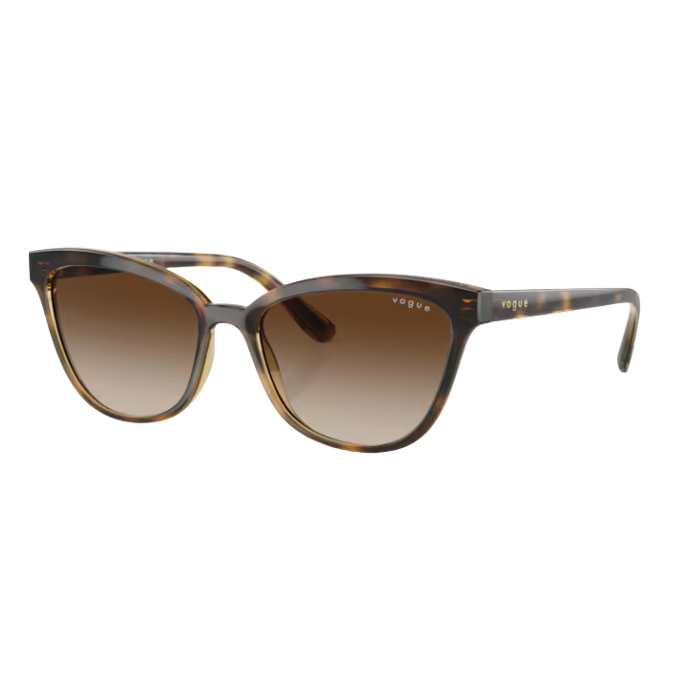 Vogue Eyewear VO5496SI Cat-Eye Sunglasses