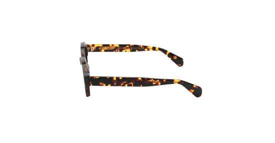 GAST TONDO TD03 Havana