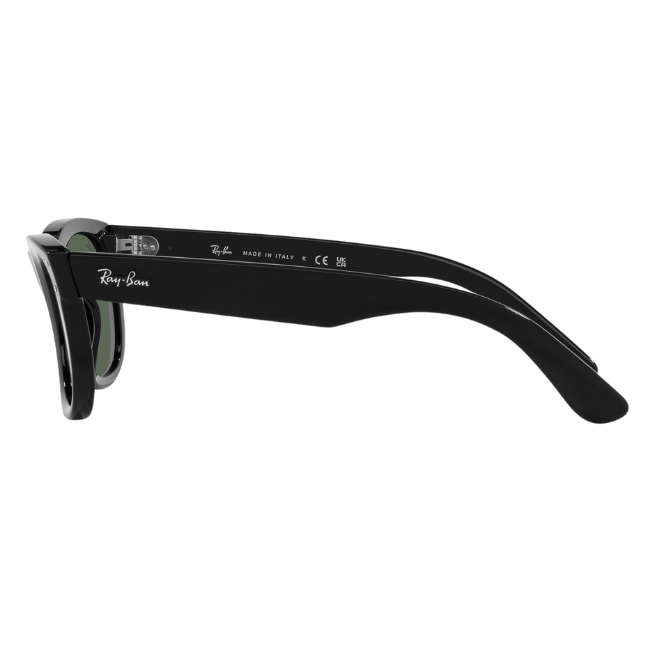 Ray-Ban RB-R0502S Wayfarer Reverse