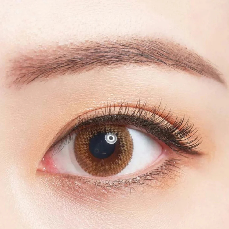 Bausch + Lomb Lacelle Premium Color Contact Lenses (Brown)