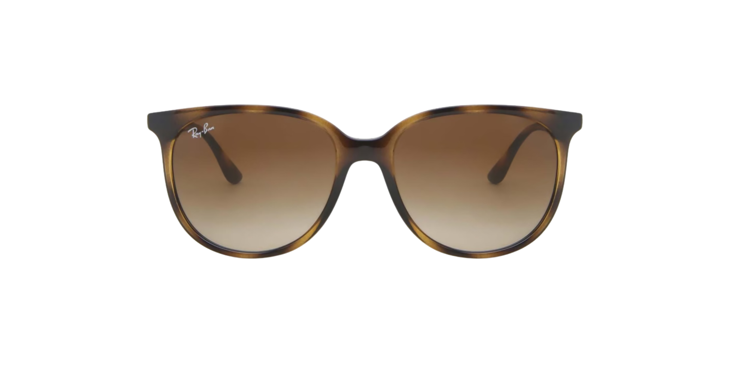 Ray-Ban RB4378 710/13