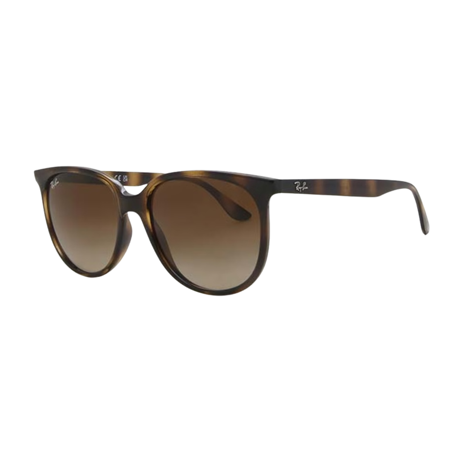 Ray-Ban RB4378 710/13