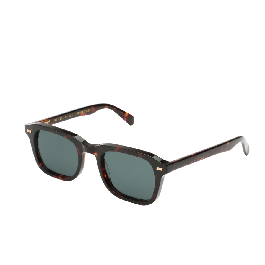 Gast SE02 SEGNO CLASSIC HAVANA