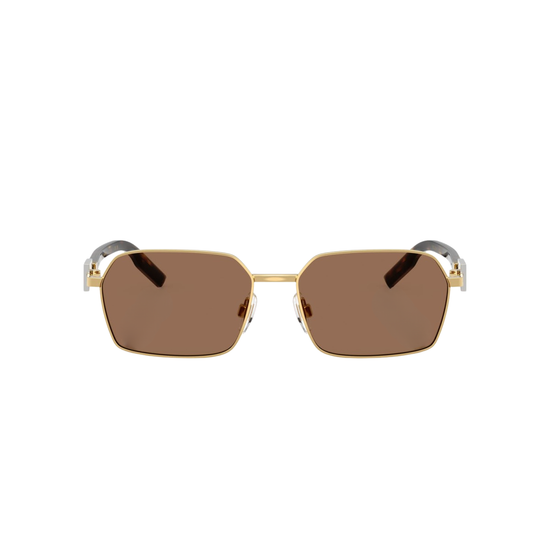 Dolce & Gabbana DG2316 02/73