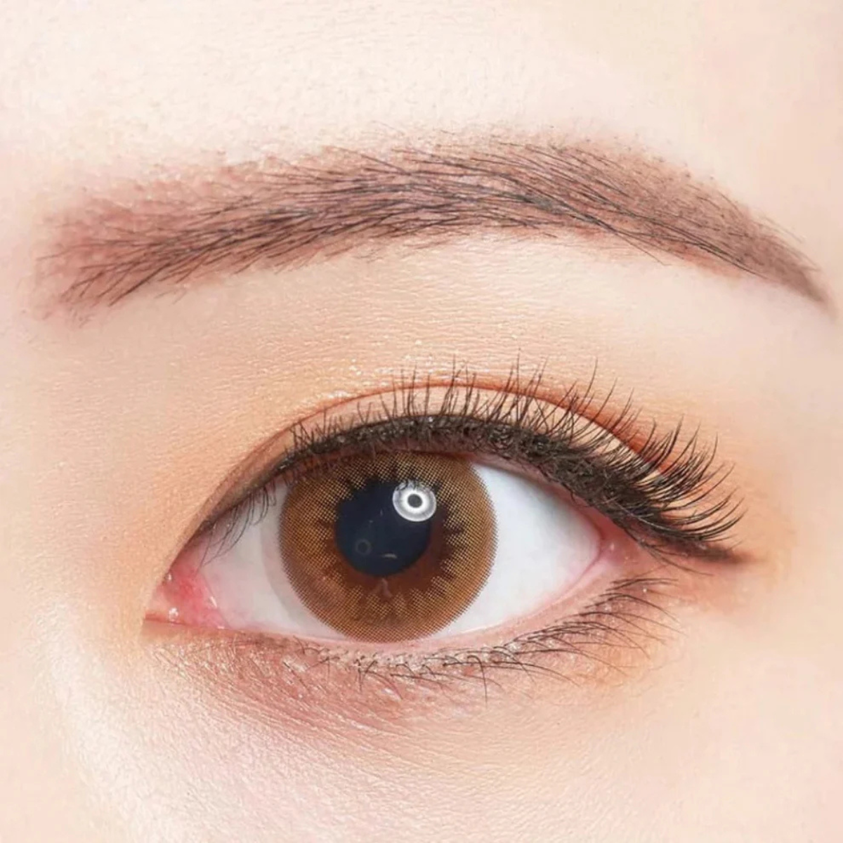 LACELLE CIRCLE COLOUR LENS BROWN
