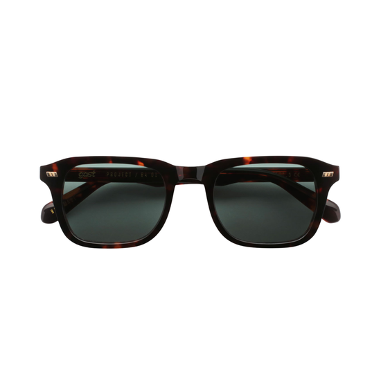 Gast SE02 SEGNO CLASSIC HAVANA
