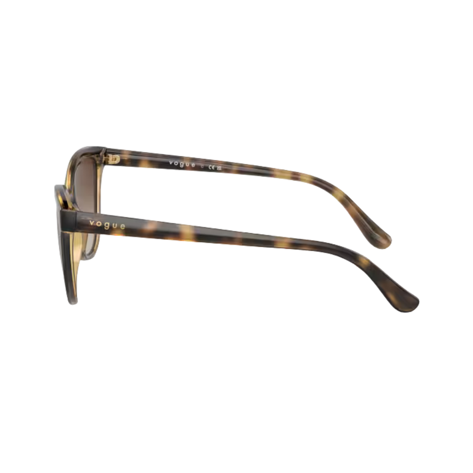 Dark Havana with Brown Gradient Lenses